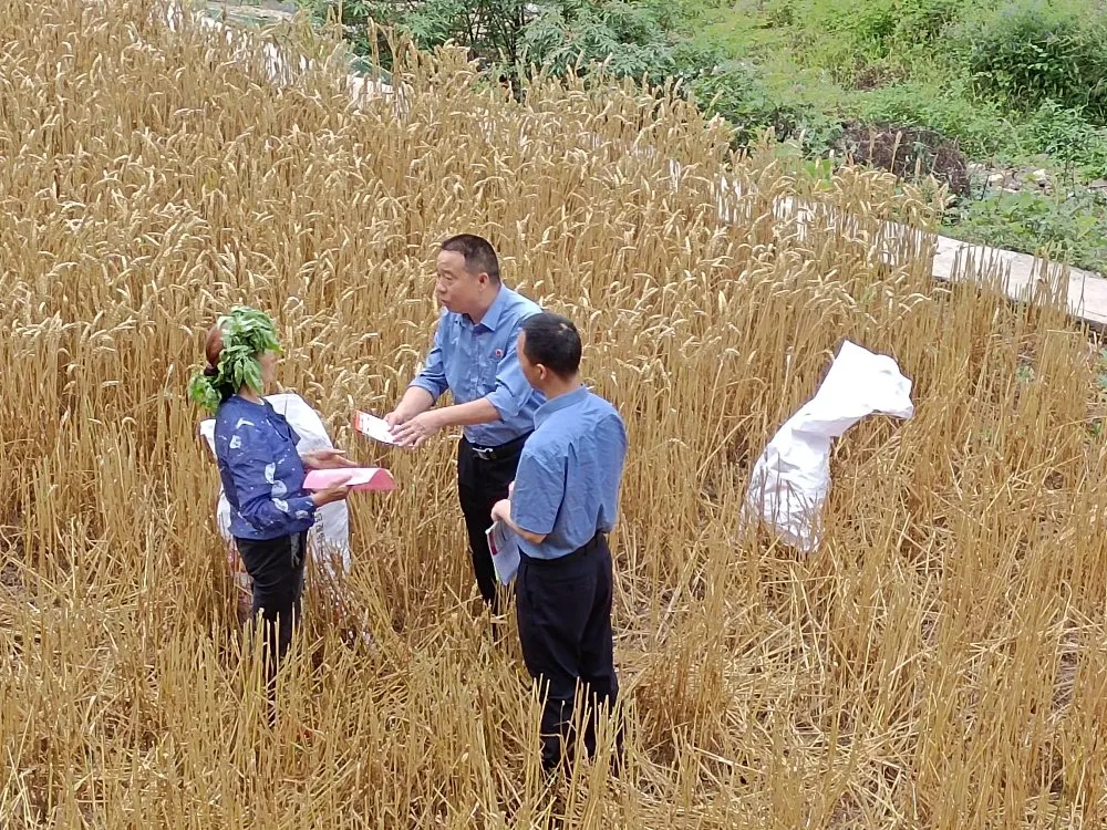 【队伍教育整顿】利州区检察院扎实开展 “我为群众办实事”系列法治宣传活动